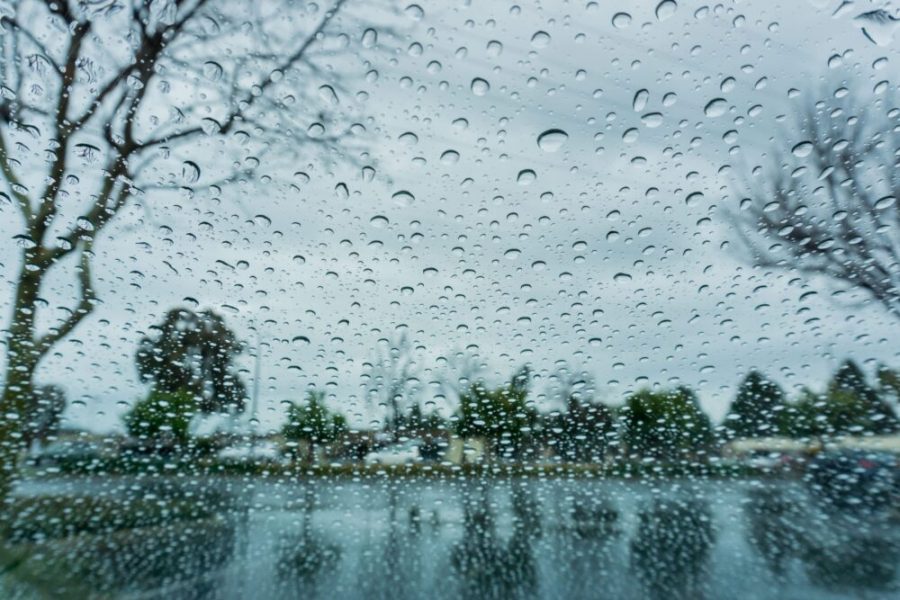 drops-of-rain-on-the-window-blurred-trees-in-the-2023-11-27-04-55-15-utc